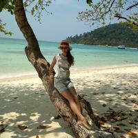 Отзыв от Елена - DTV виза