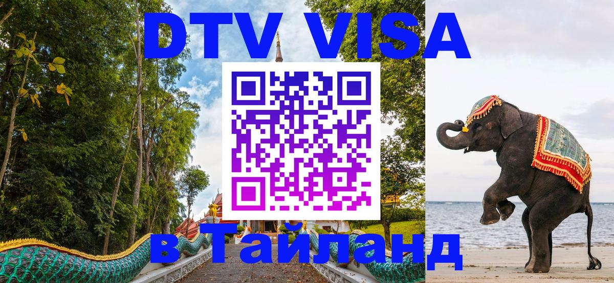 Оформление DTV визы под ключ: стоимость и тарифы, только загранпаспорт - 